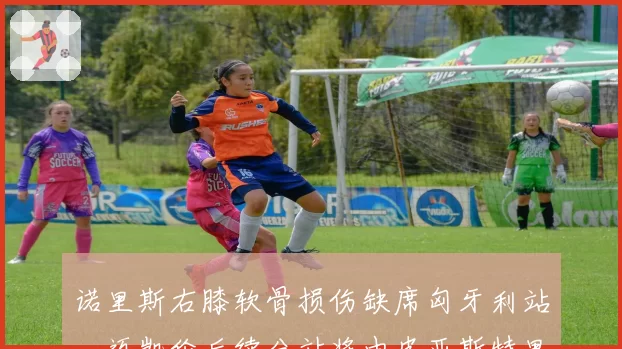 诺里斯右膝软骨损伤缺席匈牙利站，迈凯伦后续分站将由皮亚斯特里独撑？