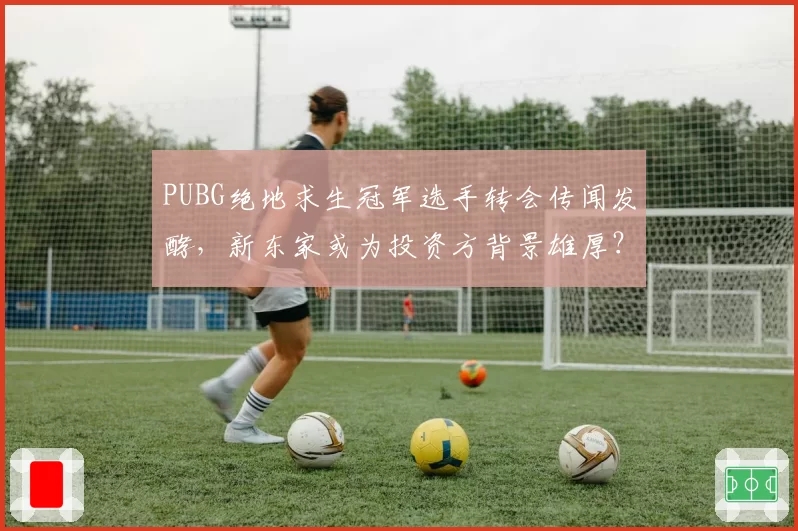 PUBG绝地求生冠军选手转会传闻发酵，新东家或为投资方背景雄厚？