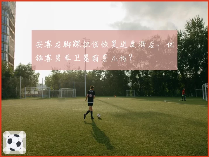 安赛龙脚踝扭伤恢复进度滞后,世锦赛男单卫冕前景几何?