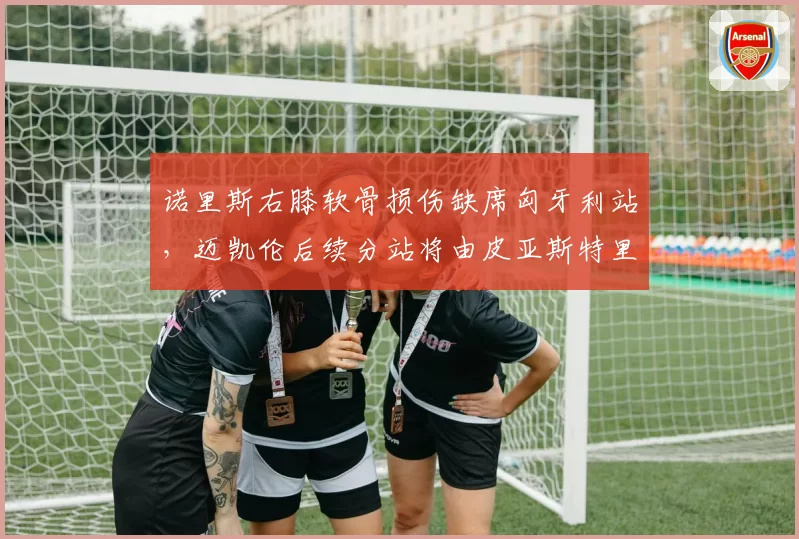 诺里斯右膝软骨损伤缺席匈牙利站,迈凯伦后续分站将由皮亚斯特里独撑?